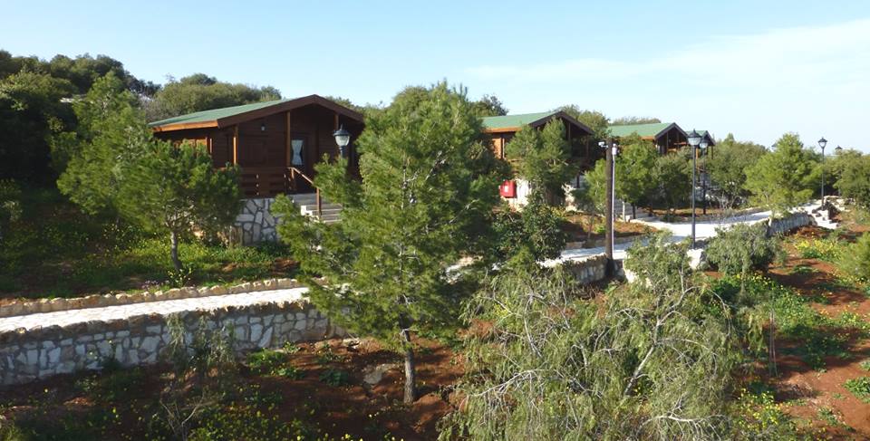 Salt to be nominated as UNESCO world heritage site