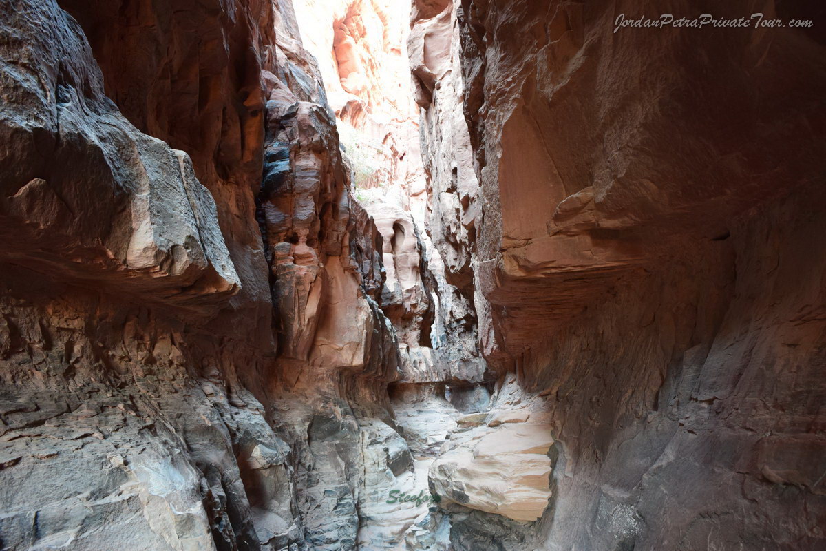 2-Day Jordan Private Tour | Wadi Rum & Petra Adventure from Amman
